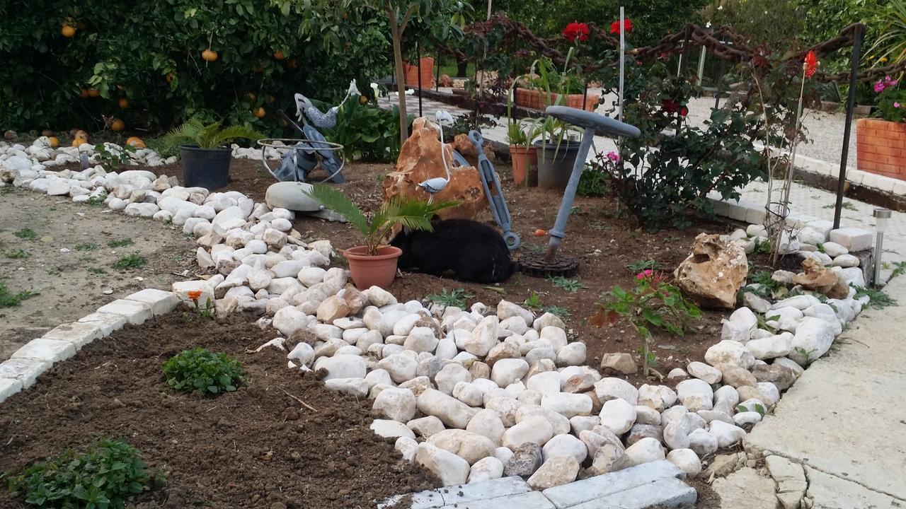 Asbn Magic Garden Villa Acra Exterior foto