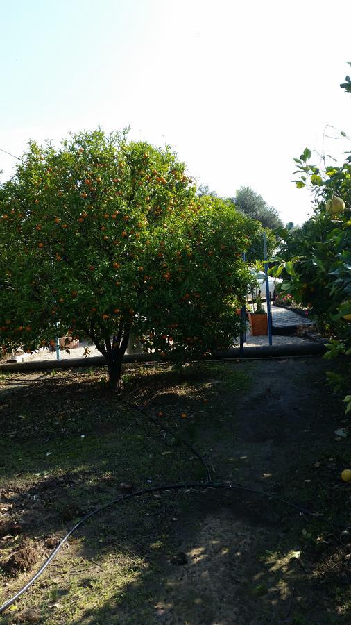 Asbn Magic Garden Villa Acra Exterior foto