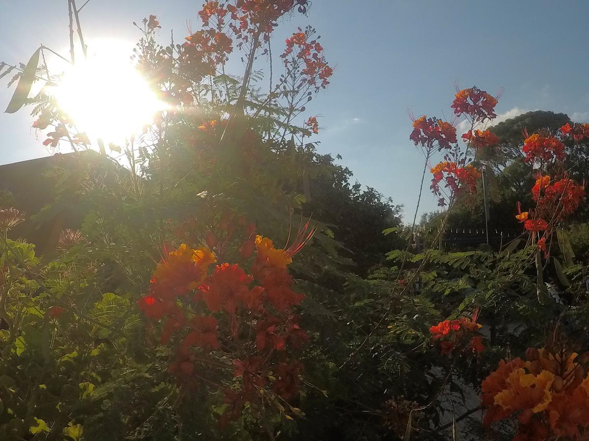 Asbn Magic Garden Villa Acra Exterior foto