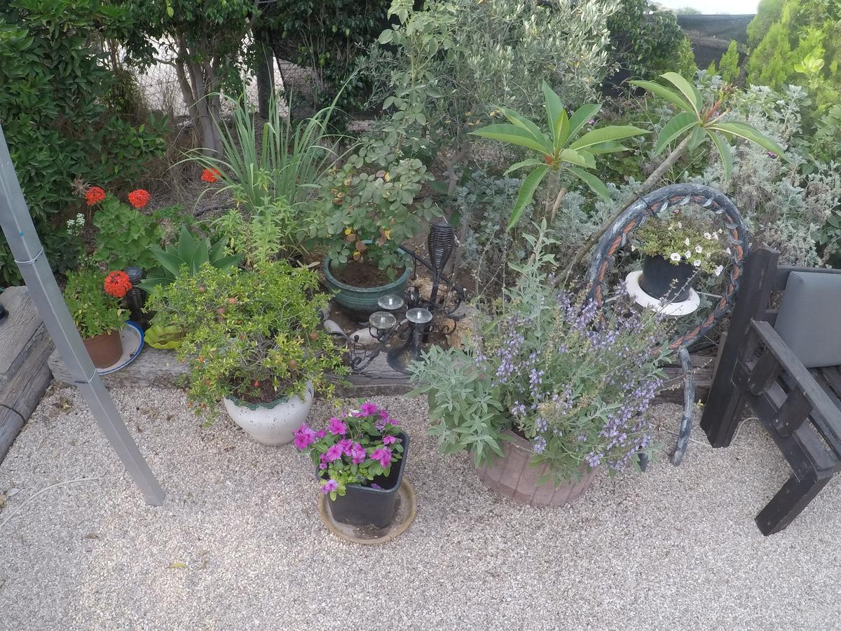 Asbn Magic Garden Villa Acra Exterior foto